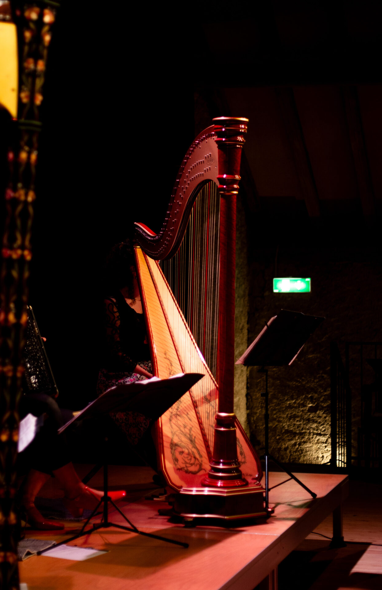 grange de nane harpe