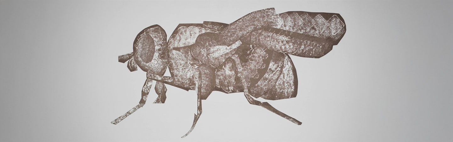 header alexandreborgeaud